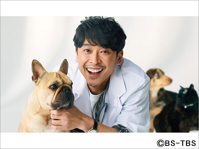 坂本昌行、19年ぶりのドラマ主演でミステリアスな獣医師役。「動物とたわむれる時間を大切に」