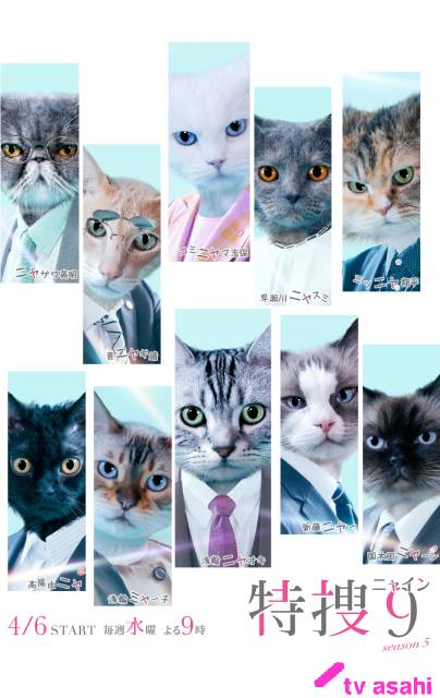 「特捜9 season5」公式サイトがエイプリルフール限定でネコまみれの“特捜ニャイン”に！