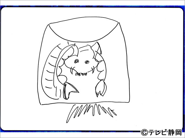 ゆうちゃみ、“令和のお魚王子”鈴木香里武から魚図鑑をもらい「“うおギャル”を目指します！」