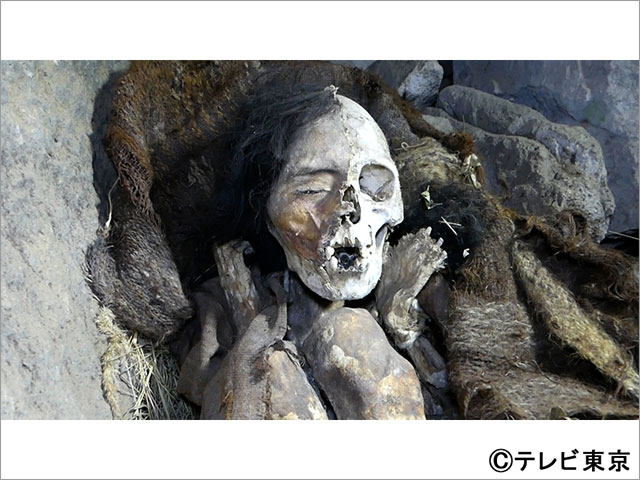 約600年前の「瞳を閉じたミイラ」を「有吉の世界同時中継」で独占放送