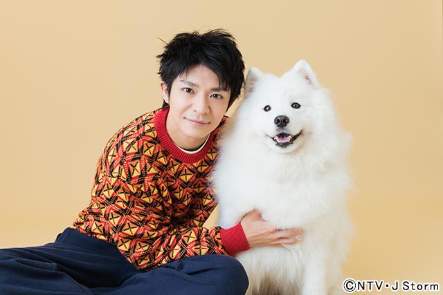 キンプリ・岸優太、人間に生まれ変わった元愛犬と恋に落ちる!?「すきすきワンワン！」で連ドラ単独初主演