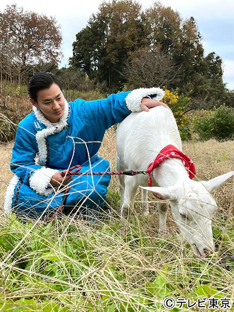 井ノ原快彦、野村周平が「ヤギと大悟」に登場。それでも“主役”は雑草を食べまくるのみ！