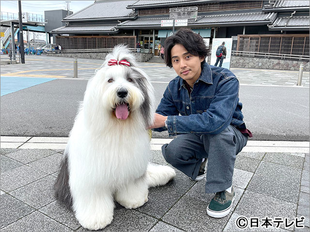 藤ヶ谷太輔、所ジョージからもらった勝負服で超能力犬・ペロちゃんとネタ探しの旅へ