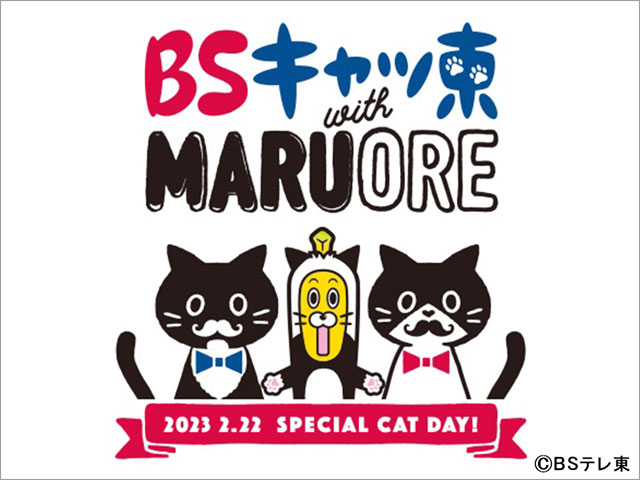 2月22日は今年もBSテレ東が“BSキャッ東”に！ 藤あや子の愛猫・マル＆オレオが社長続投