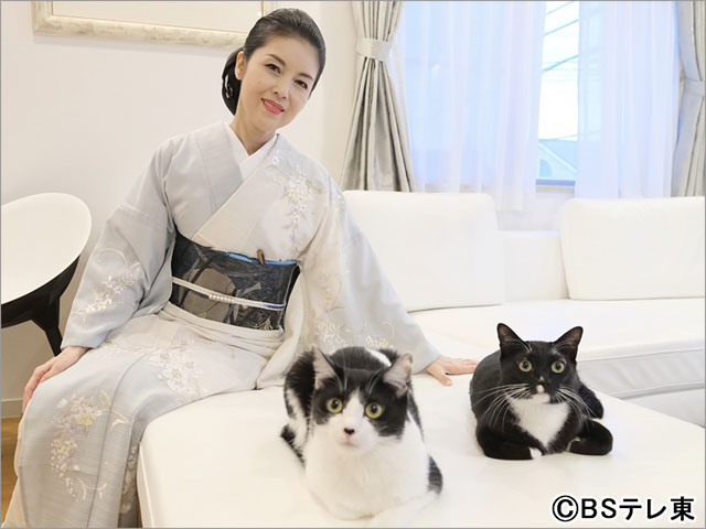 2月22日は今年もBSテレ東が“BSキャッ東”に！ 藤あや子の愛猫・マル＆オレオが社長続投