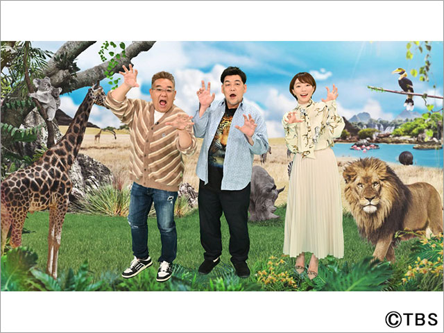 なにわ男子・大橋和也＆長尾謙杜らが「ZOO-1グランプリ」最終回で八景島シーパラダイスを舞台にした大仕掛けの謎解きに挑戦