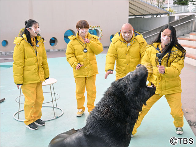 なにわ男子・大橋和也＆長尾謙杜らが「ZOO-1グランプリ」最終回で八景島シーパラダイスを舞台にした大仕掛けの謎解きに挑戦