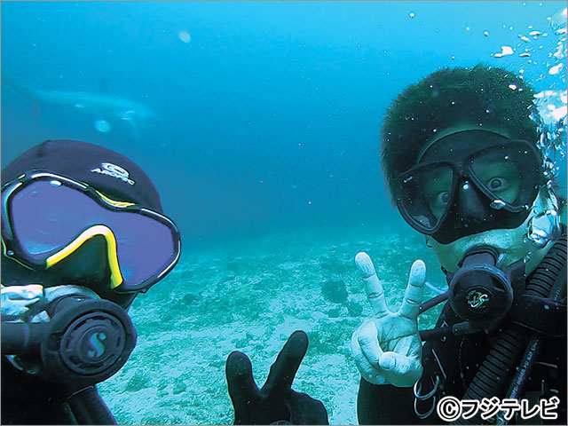 髙橋海人、海外で初ダイビング！ 助っ人・桐山照史と巨大海洋生物を追う!!