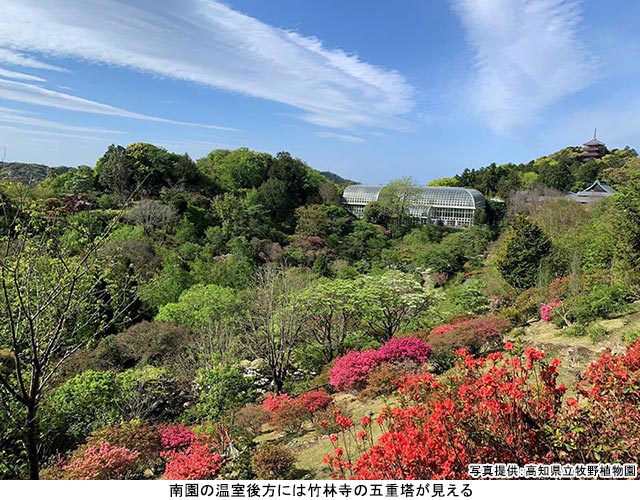 牧野富太郎博士ゆかりの地“高知・聖地めぐり”高知県牧野植物園