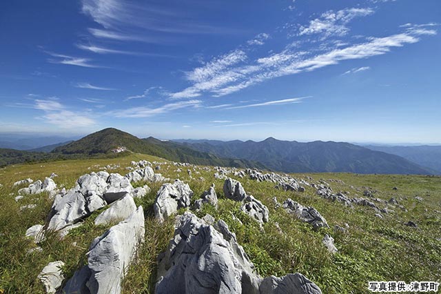 牧野富太郎博士ゆかりの地“高知・聖地めぐり”天狗高原