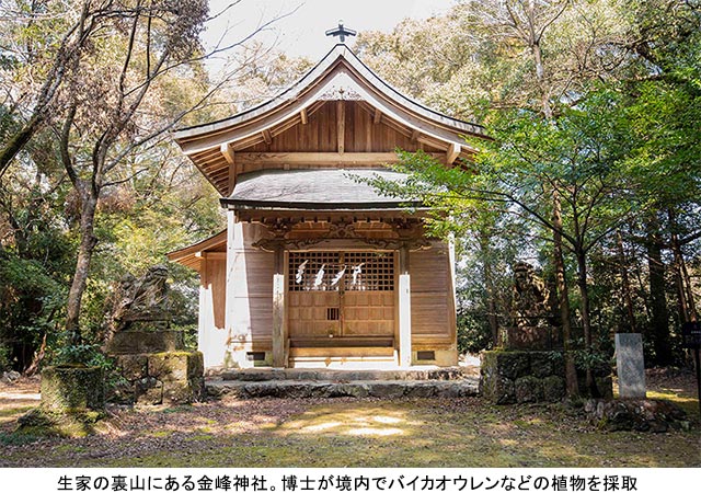 牧野富太郎博士ゆかりの地“高知・聖地めぐり”佐川町