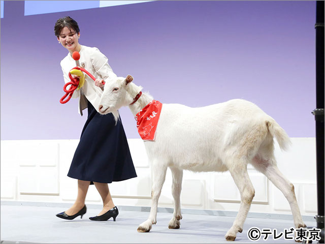 テレ東入社式で千鳥・大悟がビデオメッセージで激励！“相棒”ヤギのポポがサプライズで登場