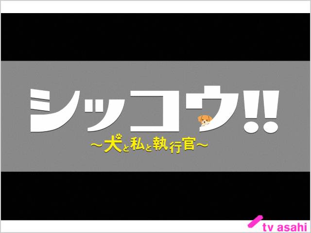 2023年夏ドラマガイド／シッコウ!!～犬と私と執行官～