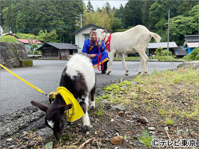 なにわ男子・道枝駿佑、仲良しの板垣李光人と「ヤギと大悟」で雑草モグモグ旅！ 激カワ赤ちゃんヤギと温泉に癒やされる