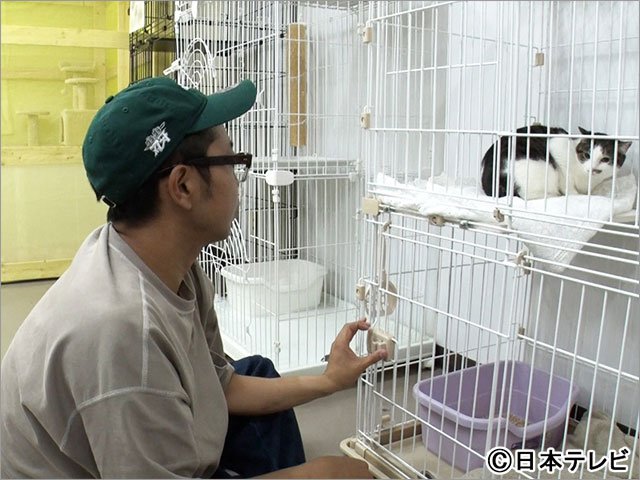 嗚呼!!みんなの動物園　2時間SP