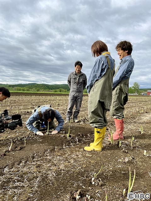 “子ナックス”SixTONES・松村北斗がTEAM NACS・森崎博之と北海道で“牛追い”！ アスパラ畑では驚きの行動!?