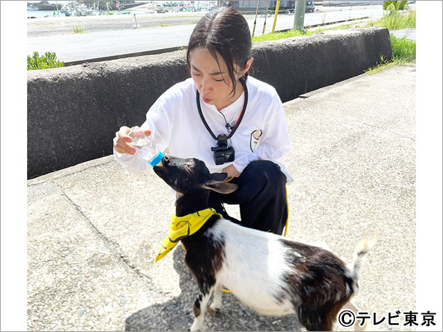 トータス松本が「ヤギと大悟」に登場！ MEGUMIは激ユルのロケを満喫。初めての海に大興奮のポポは…!?