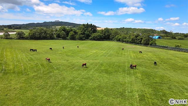 北海道道「ようこそ！あなたの知らない“ウマの世界”へ」