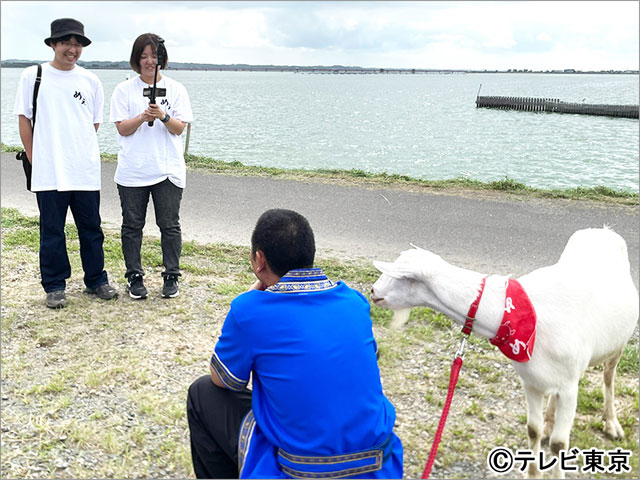 磯村勇斗と槙野智章、ヤギの雑草モグモグ旅に登場。舞台は日本で2番目に大きな湖・霞ヶ浦のあるかすみがうら市