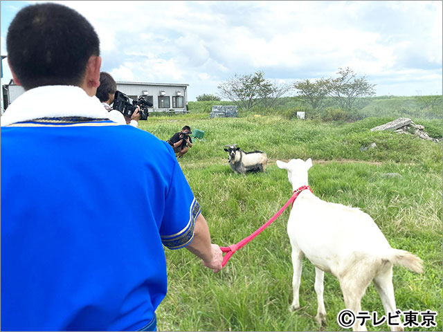 磯村勇斗と槙野智章、ヤギの雑草モグモグ旅に登場。舞台は日本で2番目に大きな湖・霞ヶ浦のあるかすみがうら市