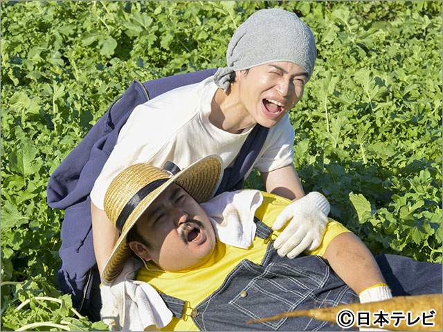 菊池風磨主演「ゼイチョー」第5話。徴税第三係メンバーが農園で潜入調査！
