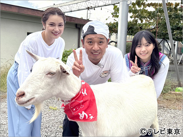 山梨県甲州市で雑草モグモグ旅！「ヤギと大悟」で西野七瀬が軽トラ運転＆平愛梨が号泣!?