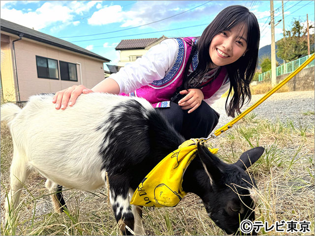 山梨県甲州市で雑草モグモグ旅！「ヤギと大悟」で西野七瀬が軽トラ運転＆平愛梨が号泣!?