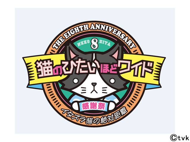 「猫ひた8周年感謝祭」が来春開催決定！ テーマは“イタズラ猫の絶対距離”