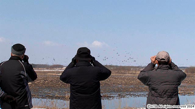 HTB北海道テレビ開局55周年記念ドキュメンタリー映画「奇跡の子 夢野に舞う」