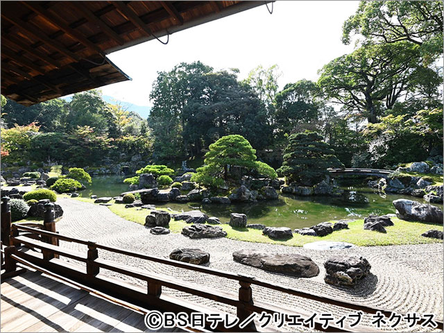北川景子が信長、秀吉、家康ら天下人が愛した名宝の謎に迫るべく京都へ。「作者の思いに素直に感動しました！」
