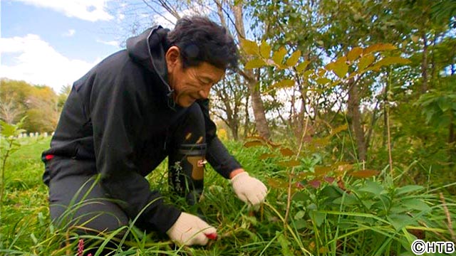 ナビゲーター・栗山英樹氏／HTB開局55周年記念番組「未来を創る 森のチカラ 北海道から発見！の旅」