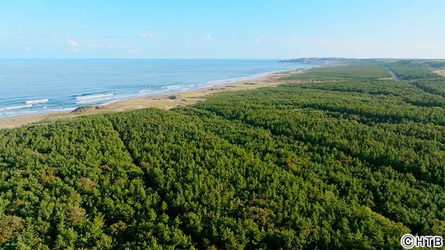 JEMTCスペシャル HTB開局55周年記念番組「未来を創る 森のチカラ 北海道から発見！の旅」