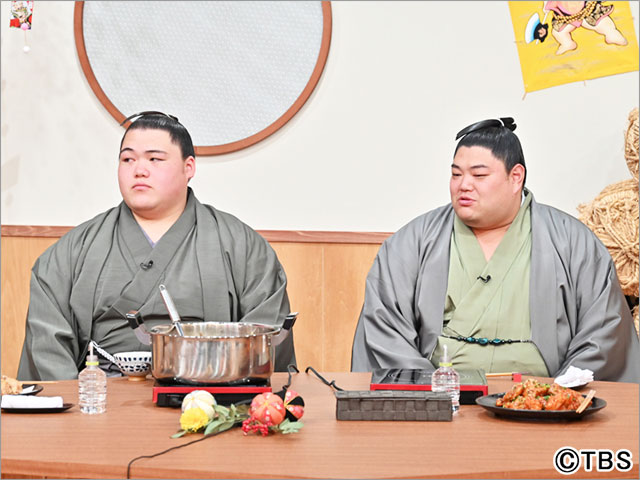 「マツコの知らない世界」貴景勝、大栄翔、翔猿、阿炎、王鵬の人気力士そろい踏みに「あがるわぁ～！」