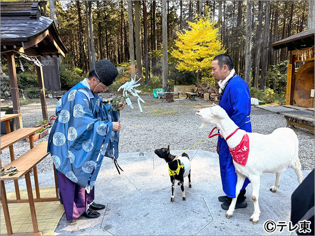 玉木宏と優香が「ヤギと大悟」でのんびり旅。神聖な“あれ”をポポが食べちゃうハプニングも!?