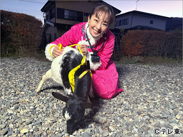 玉木宏と優香が「ヤギと大悟」でのんびり旅。神聖な“あれ”をポポが食べちゃうハプニングも!?