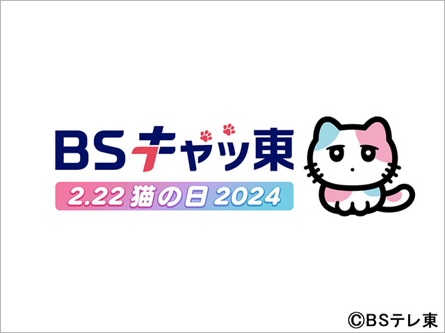 BSキャッ東、7年目もネコだらけの特別編成。三毛猫・びーえするるるを中心に2月22日「猫の日」を盛り上げる！