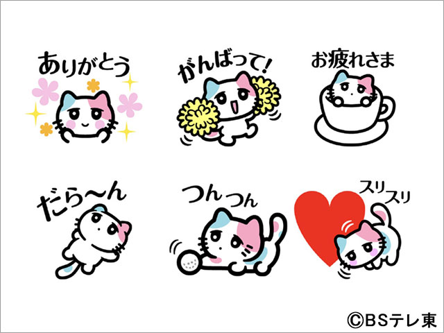 BSキャッ東、7年目もネコだらけの特別編成。三毛猫・びーえするるるを中心に2月22日「猫の日」を盛り上げる！