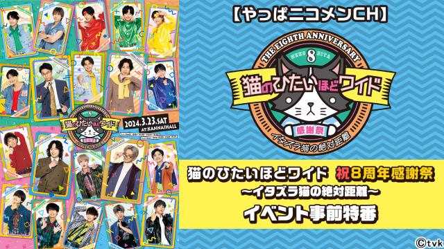 「猫ひた8周年感謝祭」ニコニコチャンネルで2月9日に事前特番＆裏実況の配信が決定！