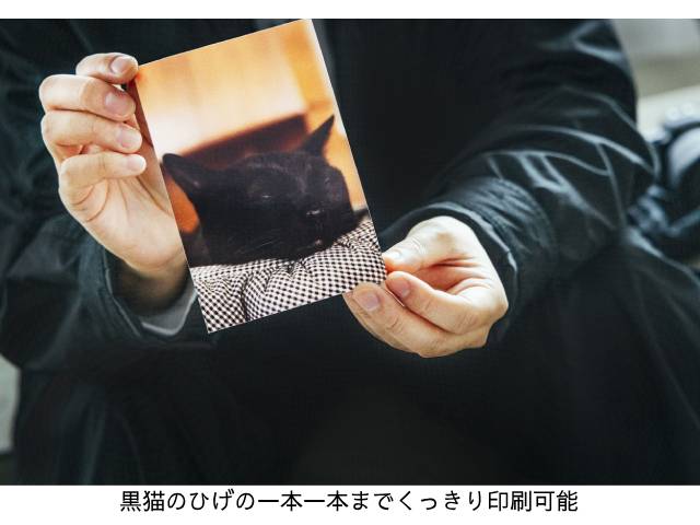 ミキ・亜生がキヤノンのミニフォトプリンター「SELPHY」（セルフィー）で愛猫のフォトブックを作ってみる【PR】