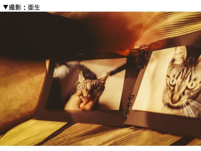 ミキ・亜生がキヤノンのミニフォトプリンター「SELPHY」（セルフィー）で愛猫のフォトブックを作ってみる【PR】