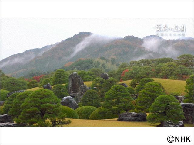 海外の愛好家の人気ランキング第1位＆2位！ 日本庭園の美を追求する庭師の1年に密着