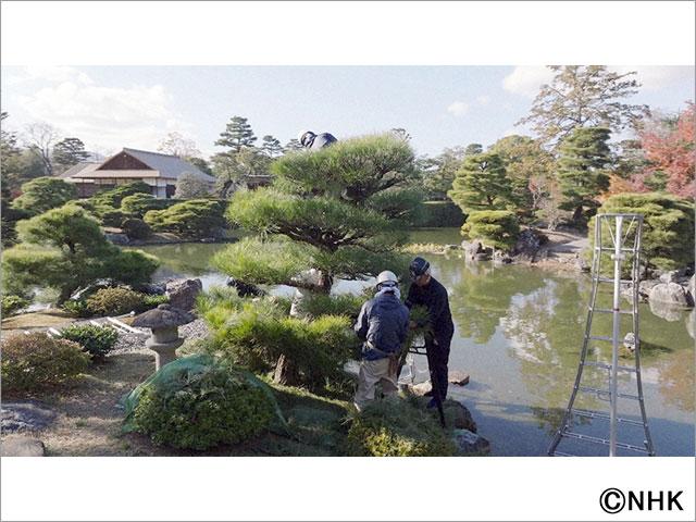 海外の愛好家の人気ランキング第1位＆2位！ 日本庭園の美を追求する庭師の1年に密着