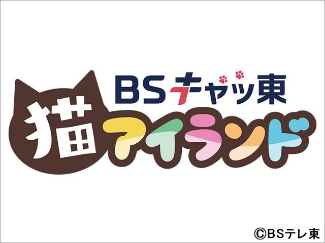 BSキャッ東に参加の中川翔子、ハライチ・岩井らからコメント到着！ 2月22日はネコ好きにたまらない企画がめじろ押し