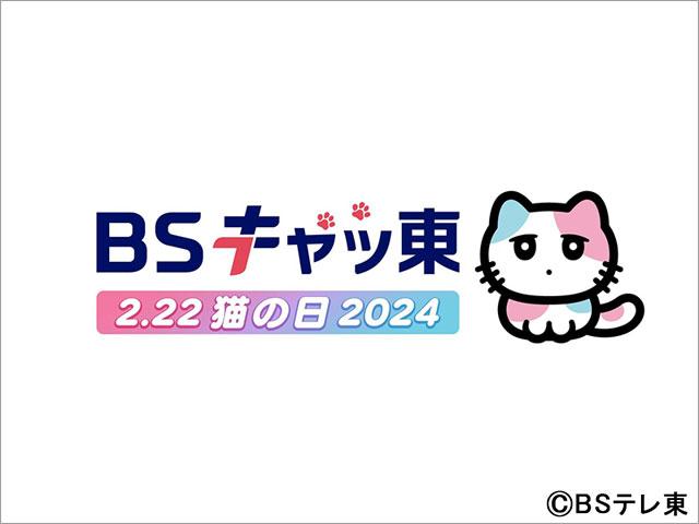 BSキャッ東に参加の中川翔子、ハライチ・岩井らからコメント到着！ 2月22日はネコ好きにたまらない企画がめじろ押し