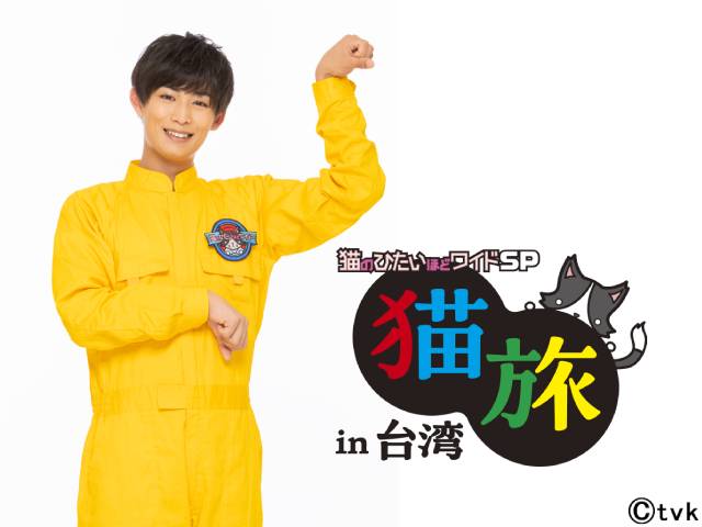 沖拓郎と岡村帆奈美が「猫のひたいほどワイド」スペシャルで台湾へ！