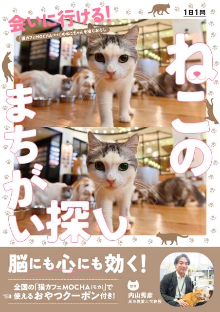 かわいいネコの写真で脳トレができる「会いに行ける！ねこのまちがい探し」が発売