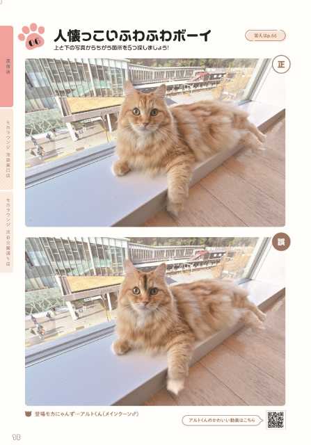 かわいいネコの写真で脳トレができる「会いに行ける！ねこのまちがい探し」が発売