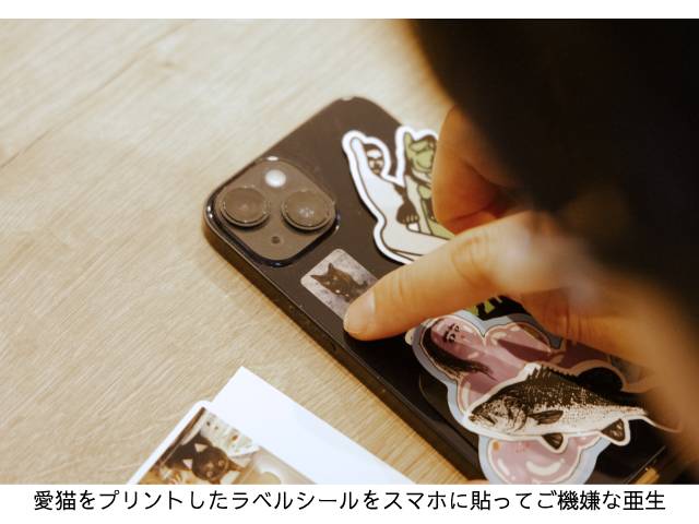 ミキ・亜生がキヤノンのミニフォトプリンター「SELPHY」（セルフィー）で思い出をシール印刷して楽しむ【PR】