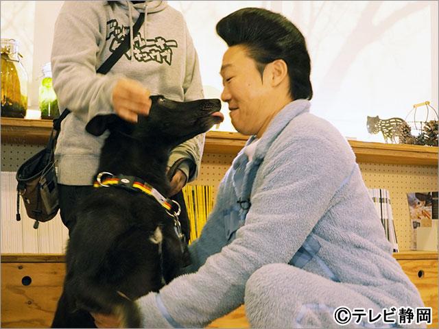 アンタッチャブルMCの「動物さまの言うとおり」第4弾。新事実が判明！ 飼い犬は人間の序列関係を重視していない!?