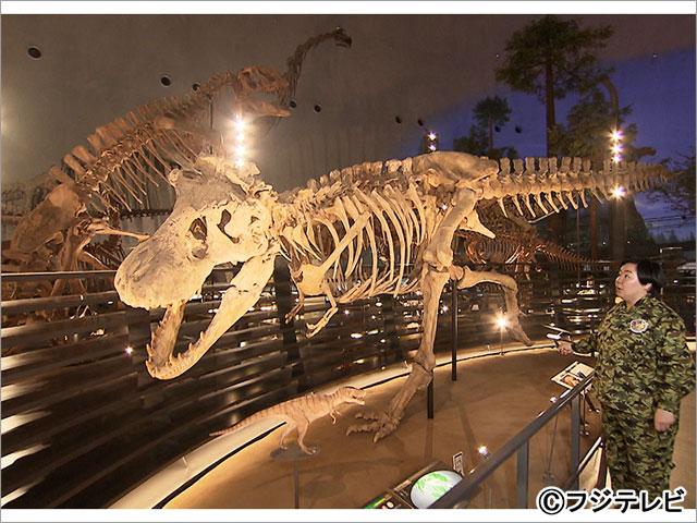 やす子が「オダイバ恐竜博覧会2024」見どころ＆北陸新幹線の延伸で盛り上がる福井の魅力を発信！